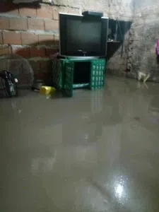Televisión