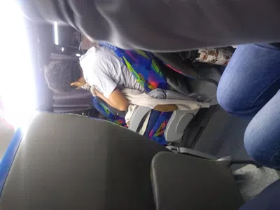 No viajo con mascotas soy alérgico