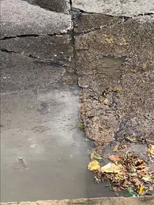 Bache y rajadura de calle reclamo 708617 del 10/18 sin resolver con fotos