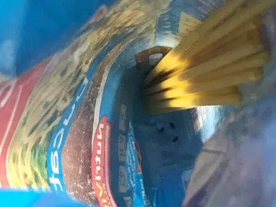 Bichos en fideos