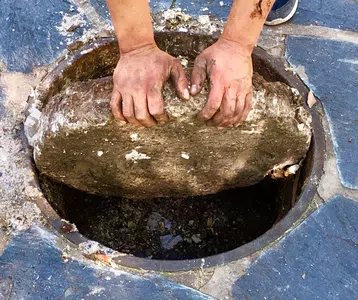 Cloaca tapada