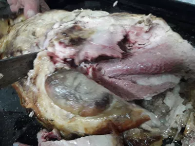 El producto no era lo que se compró y estaba crudo