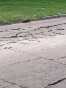 Calle pellegrini destruida