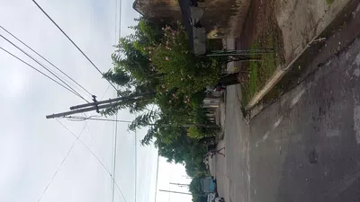 Cambio de postes de luz de trifasica