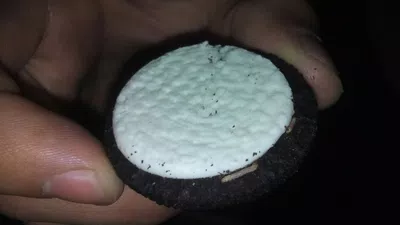 Oreo con larvas
