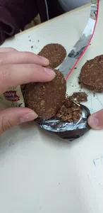 Galletitas cereal mix con gusanos
