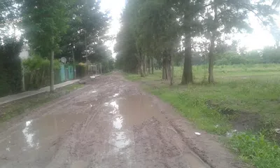 La calle de tierra y que no hay zanjas