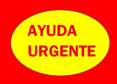 Becas pronafe