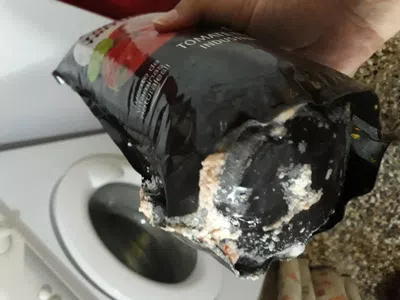 Gusanos en pure de tomate