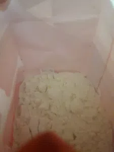 Bichos en la harina dia