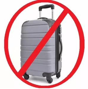 Despegar.com sin valijas
