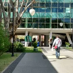 Poda de arboles