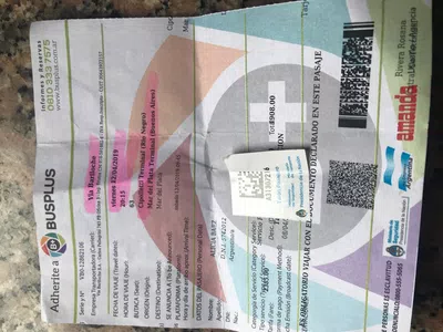 Cobro de equipaje sin motivo 100$ x una maleta cobrados x el chofer sr ronconi ,