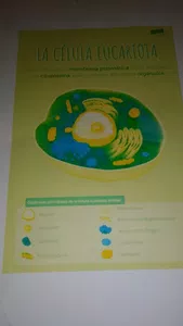 Me estan cobrando dos cuotas siendo terminado mi pago