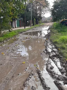Falta de asfalto,mejorado,limpieza y recolección de tierra y poda de arboles