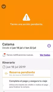 Sin  confirmación de compra de pasajes