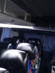 Colectivo viejos