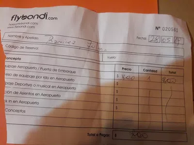 El vuelo