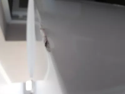 Fravega me entrego heladera golpeada