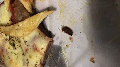 Cuando abrí la comida tenía una cucaracha frita junto a las papas