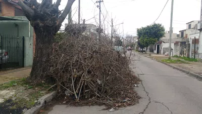 Recoleccion ramas por poda
