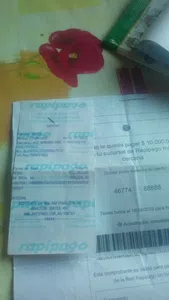 Nos estafaron 10.000$ una supuesta consecionaria automotriz