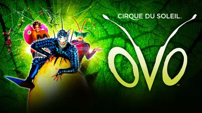 Nula información sobre reprogramación de fechas del show