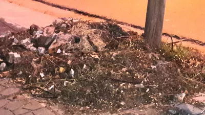 Retiro de escombros despues de sacar un arbol