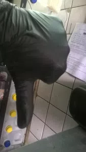 Cochecama en mal estado
