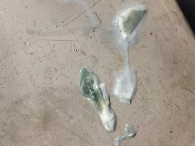 Leche larga vida con hongo o algo similar