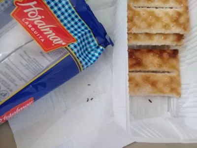 Larcuitas  con escremento de ratas