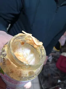 Salio una cola de raton en colado a mi bebe