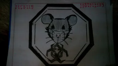 Crear nuevo pase elite
