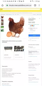 Fuy estafado en mercado libre