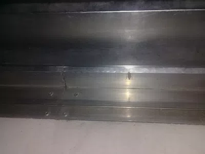 Cucarachas
