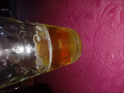 Una araña en la botella de cerveza brahma