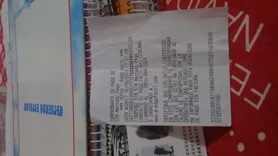 Compre un gato mitad siames y mitad angora hasta ahora nadie me yamo.ayer hice p