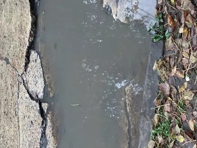 Repavimentación o bacheo calle fray cayetano rodríguez 2490