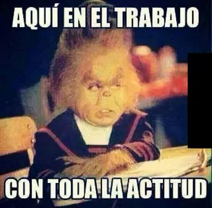 Trabajoderes fastidiados hasta de pegar copi paste