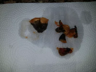 Hongos en la salsa lista