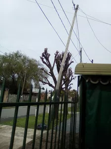 Poste a punto de caerse