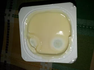 Danette en mal estado