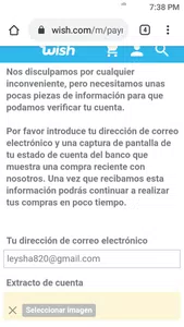 No puedo hacer mi pago por wich cash tengo bastas dinero sale algo en mi email y