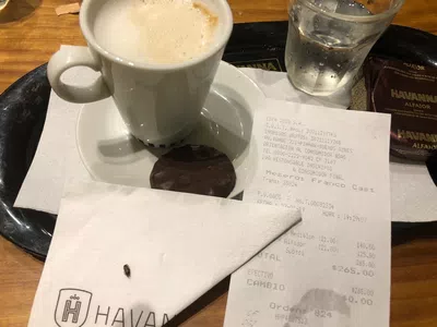 Cucarachita en un cortado