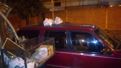 El recolector de basura me deja bolsas en la camioneta