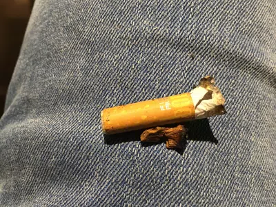 Encontré algo raro en un cigarillo