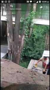 Ruidos molestos fábrica mueble,  lijan y pintan al aire libre.d torcuato, tigre