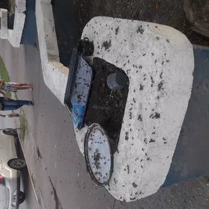 Invasión de abejas!!!