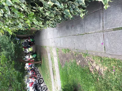 Motos por la vereda,fuman marihuana y toman cervezas