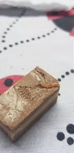 Gusano en el chocolate